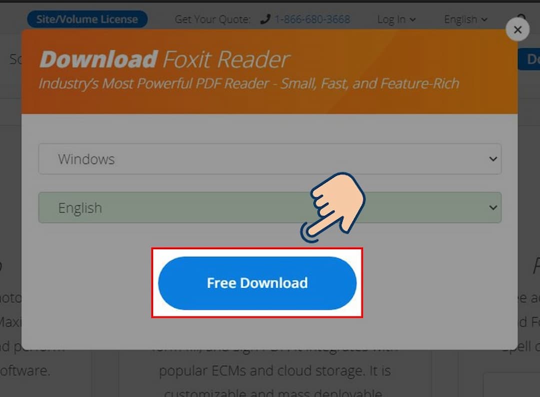 Chọn hệ điều hành và ngôn ngữ mà bạn muốn, sau đó nhấn Free Download