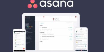 Phần mềm Asana là gì