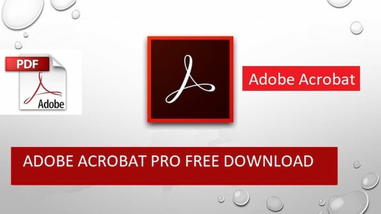 Adobe Acrobat là gì? Tải và cài đặt Adobe Acrobat Pro từ A đến Z ...