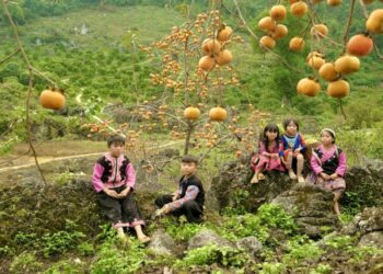 Vườn hồng Nà Ka