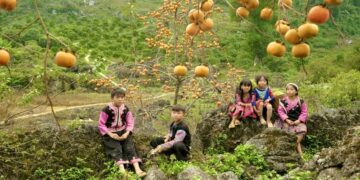 Vườn hồng Nà Ka