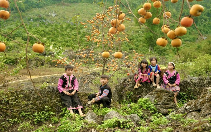 Vườn hồng Nà Ka